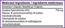 Load image into Gallery viewer, SD PHARMACEUTICALS Creatine HCL (120 Capsules)