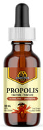 DUTCHMAN'S GOLD Bee Propolis Tincture (50 ml)