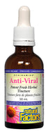 ECHINAMIDE Anti-Viral Tincture (50 ml)