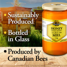 Load image into Gallery viewer, DUTCHMAN'S GOLD Summer Blossom Honey