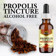 Load image into Gallery viewer, DUTCHMAN'S GOLD Propolis Tincture - Alcohol Free 50 ml