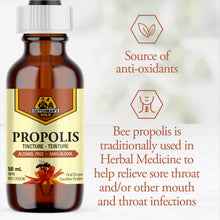 Load image into Gallery viewer, DUTCHMAN'S GOLD Propolis Tincture - Alcohol Free 50 ml