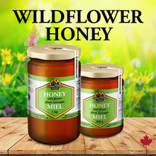 Load image into Gallery viewer, DUTCHMAN'S GOLD Wildflower Honey