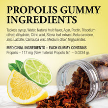 Load image into Gallery viewer, DUTCHMAN'S GOLD THROAT RESCUE Propolis Gummy: 60 count