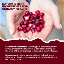 Load image into Gallery viewer, PURE LAB VITAMINS UTI Pure Powder - Additive Free (125 grams)