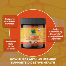 Load image into Gallery viewer, PURE LAB VITAMINS L-Glutamine Pure Powder - Additive Free (300 g)