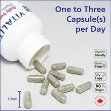 Load image into Gallery viewer, VITALITY Daily Iron + Organic Spirulina