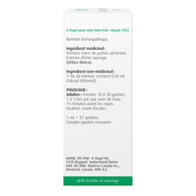 Load image into Gallery viewer, A. VOGEL Stinging Nettle (50 ml Spray)