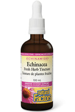 Load image into Gallery viewer, NATURAL FACTORS Echinamide Anti-Cold Tincture  (100 ml)
