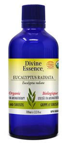 DIVINE ESSENCE Eucalyptus Radiata  (Organic - 100 ml)